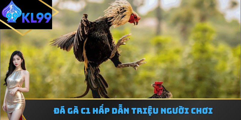 Vì sao chơi đá gà C1 luôn hấp dẫn triệu người chơi? 
