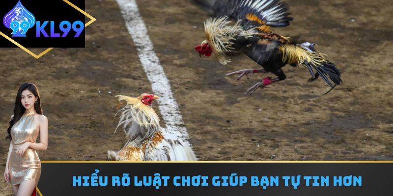 Hiểu rõ luật chơi đá gà khiến người chơi cảm thấy tự tin