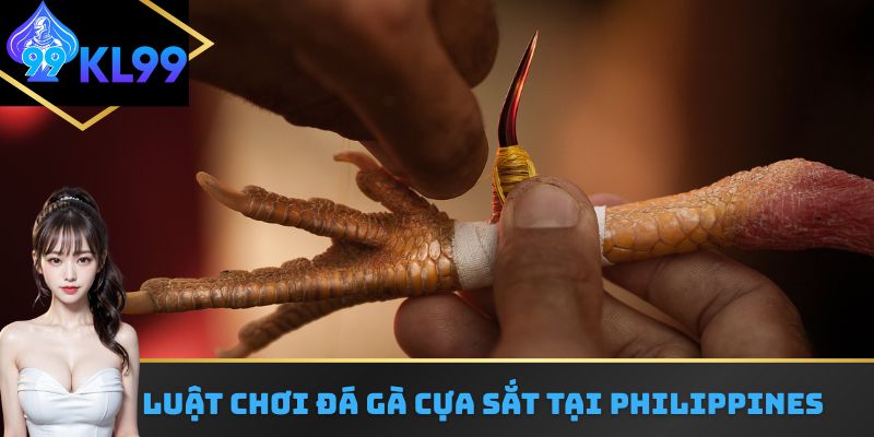 Luật chơi đá gà cựa sắt tại Philippines